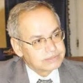 د. محمد الشحات الجندي