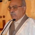 د محمد عمارة