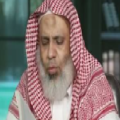 محمد الفاضل بن علي اللافي